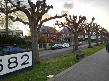 Koeln Rodenkirchen Makler